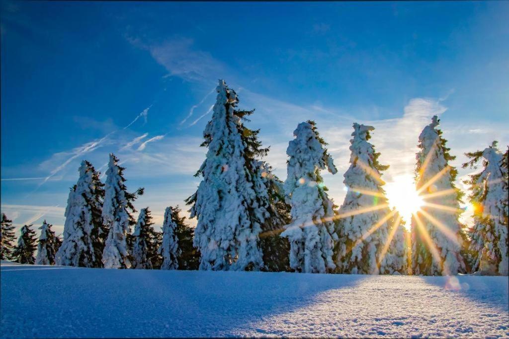 Meadows Apartments Klinovec Loučná pod Klínovcem Esterno foto