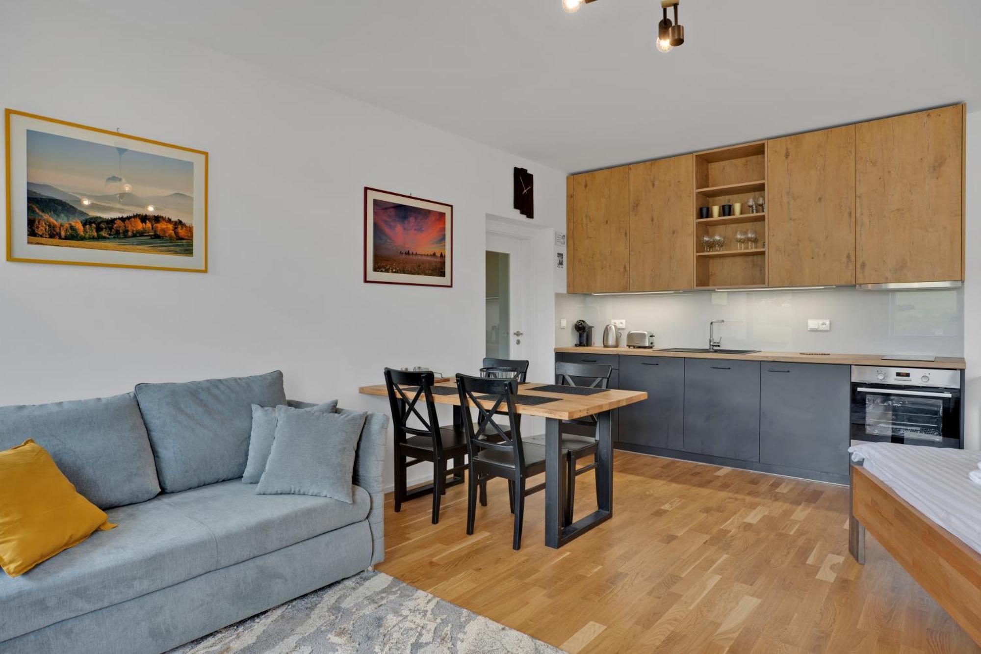 Meadows Apartments Klinovec Loučná pod Klínovcem Esterno foto